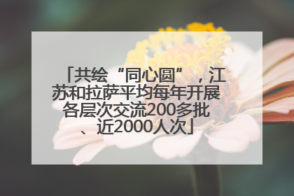 共绘“同心圆”，江苏和拉萨平均每年开展各层次交流200多批、近2000人次