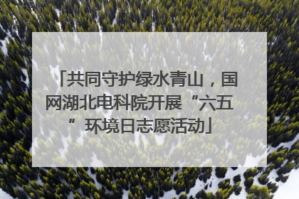 共同守护绿水青山，国网湖北电科院开展“六五”环境日志愿活动
