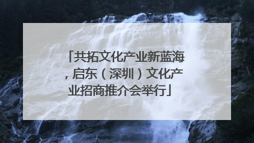 共拓文化产业新蓝海，启东（深圳）文化产业招商推介会举行