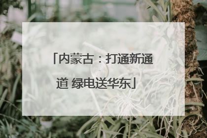 内蒙古：打通新通道 绿电送华东