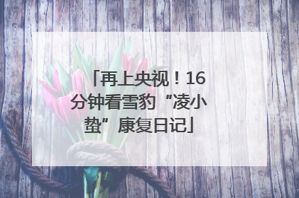 再上央视！16分钟看雪豹“凌小蛰”康复日记