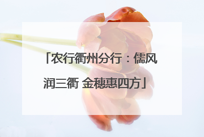农行衢州分行：儒风润三衢 金穗惠四方