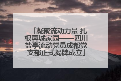 凝聚流动力量 扎根蓉城家园——四川盐亭流动党员成都党支部正式揭牌成立