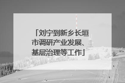 刘宁到新乡长垣市调研产业发展、基层治理等工作