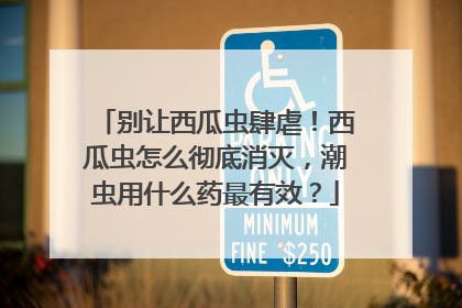 别让西瓜虫肆虐！西瓜虫怎么彻底消灭，潮虫用什么药最有效？