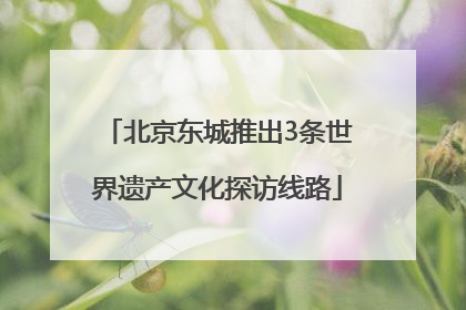 北京东城推出3条世界遗产文化探访线路