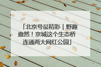 北京号最精彩｜野趣盎然！京城这个生态桥连通两大网红公园