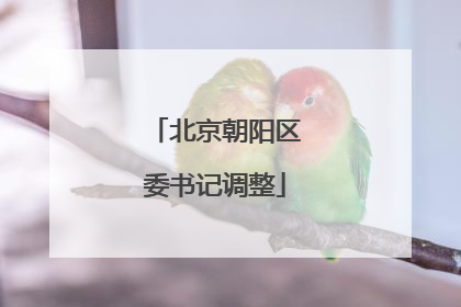 北京朝阳区委书记调整