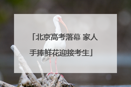 北京高考落幕 家人手捧鲜花迎接考生