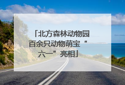 北方森林动物园百余只动物萌宝“六一”亮相