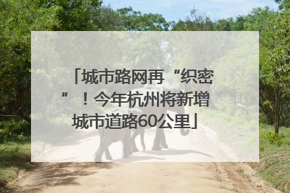城市路网再“织密”！今年杭州将新增城市道路60公里