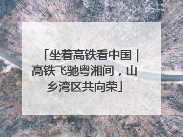 坐着高铁看中国｜高铁飞驰粤湘间，山乡湾区共向荣