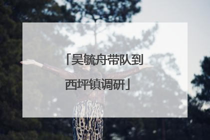 吴毓舟带队到西坪镇调研