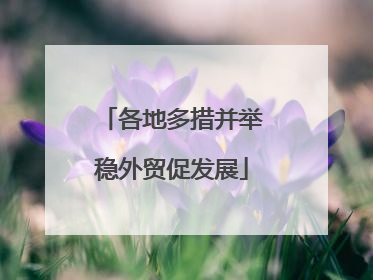 各地多措并举稳外贸促发展
