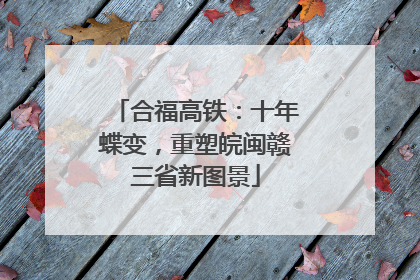 合福高铁：十年蝶变，重塑皖闽赣三省新图景