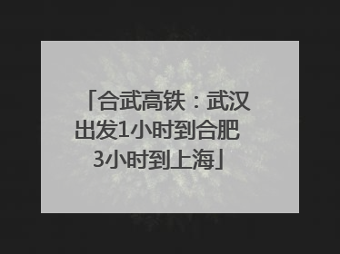 合武高铁：武汉出发1小时到合肥3小时到上海
