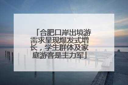 合肥口岸出境游需求呈现爆发式增长，学生群体及家庭游客是主力军