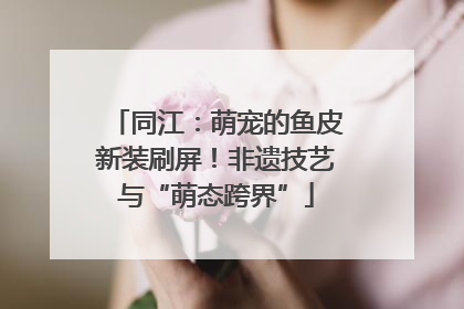 同江：萌宠的鱼皮新装刷屏！非遗技艺与“萌态跨界”