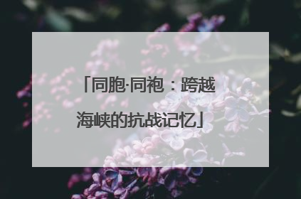 同胞·同袍：跨越海峡的抗战记忆