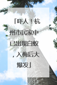 吓人！杭州市民家中已出现白蚁，入梅后大爆发