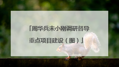 周华兵未小刚调研督导重点项目建设（图）
