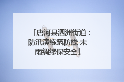 唐河县泗洲街道：防汛演练筑防线 未雨绸缪保安全