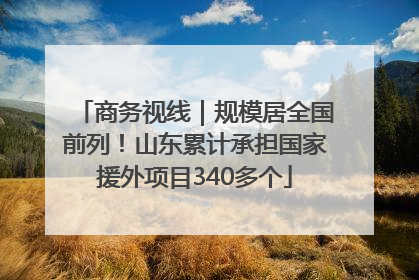 商务视线｜规模居全国前列！山东累计承担国家援外项目340多个