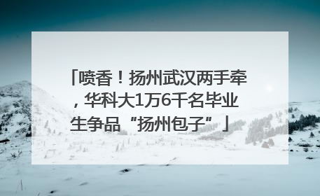 喷香！扬州武汉两手牵，华科大1万6千名毕业生争品“扬州包子”
