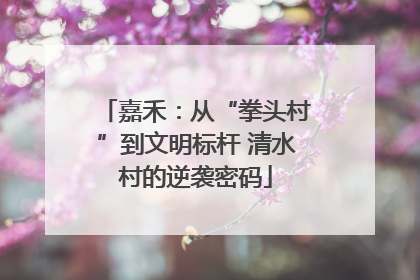 嘉禾：从“拳头村”到文明标杆 清水村的逆袭密码