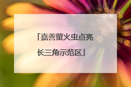 嘉善萤火虫点亮长三角示范区