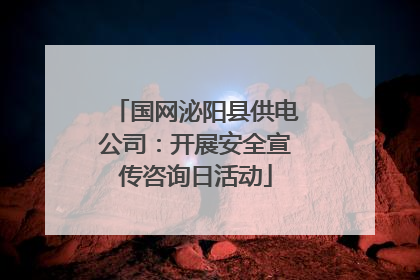 国网泌阳县供电公司：开展安全宣传咨询日活动