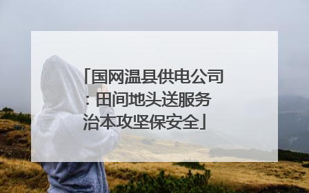 国网温县供电公司：田间地头送服务 治本攻坚保安全