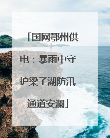 国网鄂州供电：暴雨中守护梁子湖防汛通道安澜
