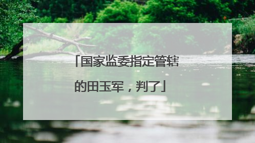 国家监委指定管辖的田玉军，判了