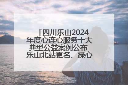 四川乐山2024年度心连心服务十大典型公益案例公布 乐山北站更名、绿心路井盖治理等上榜