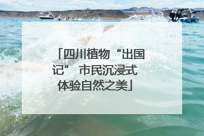 四川植物“出国记” 市民沉浸式体验自然之美