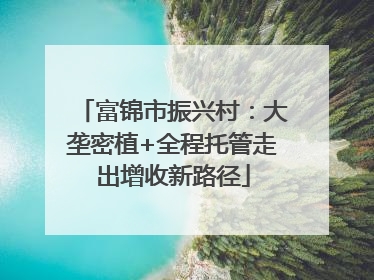 富锦市振兴村：大垄密植+全程托管走出增收新路径