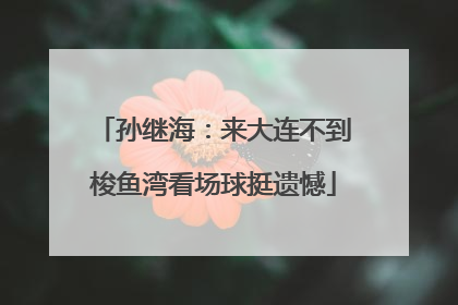孙继海：来大连不到梭鱼湾看场球挺遗憾