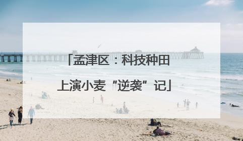 孟津区：科技种田 上演小麦“逆袭”记