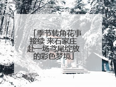 季节转角花事接续 来石家庄赴一场鸢尾绽放的彩色梦境