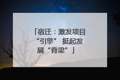 宿迁：激发项目“引擎” 挺起发展“脊梁”