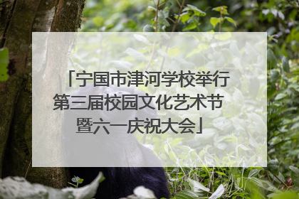 宁国市津河学校举行第三届校园文化艺术节暨六一庆祝大会