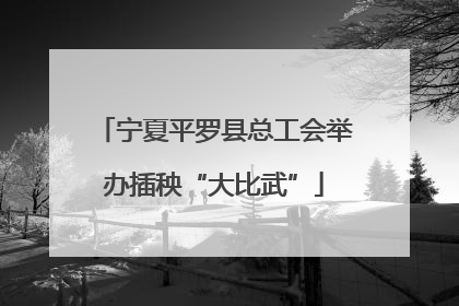 宁夏平罗县总工会举办插秧“大比武”