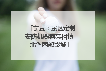 宁夏：景区定制安防机器狗亮相镇北堡西部影城