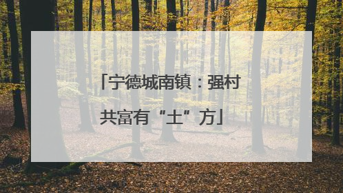宁德城南镇：强村共富有“土”方