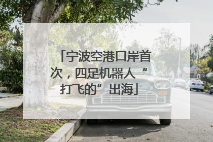 宁波空港口岸首次，四足机器人“打飞的”出海
