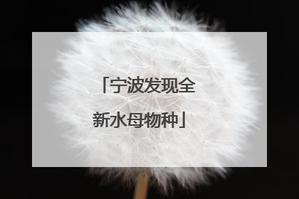 宁波发现全新水母物种