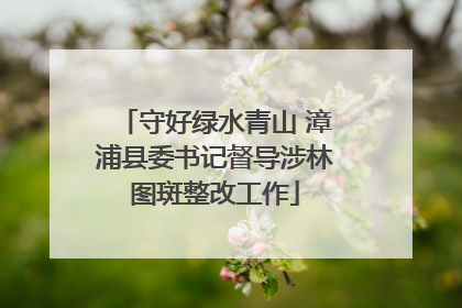 守好绿水青山 漳浦县委书记督导涉林图斑整改工作