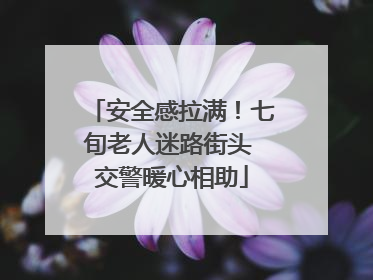 安全感拉满！七旬老人迷路街头 交警暖心相助