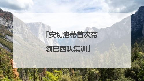 安切洛蒂首次带领巴西队集训